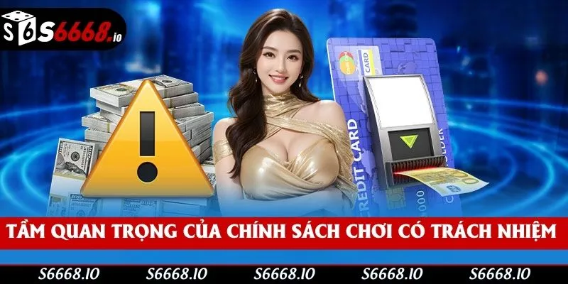 Tầm quan trọng của điều khoản trách nhiệm S666