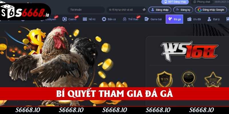Bí quyết tham gia đá gà